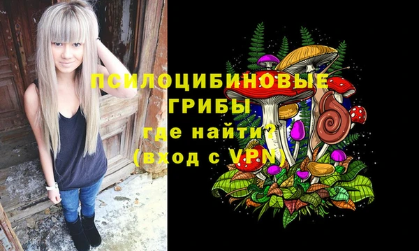 бошки Богданович