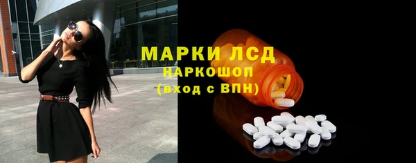 бошки Богданович