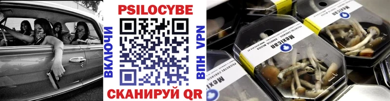 Псилоцибиновые грибы Psilocybe  цены   Верхний Уфалей 